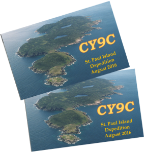 CY9C QSL