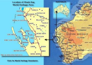 OC-206 map-shark-bay